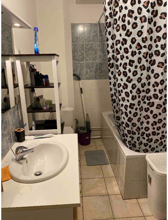 Chambre D'Hote Caluire-et-Cuire Zewnętrze zdjęcie